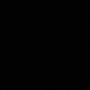 Meet your Posher, Rosa